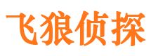 漳县市私家侦探